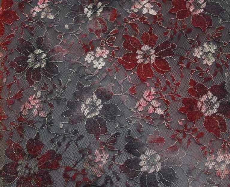 Indian Lace Flower 4